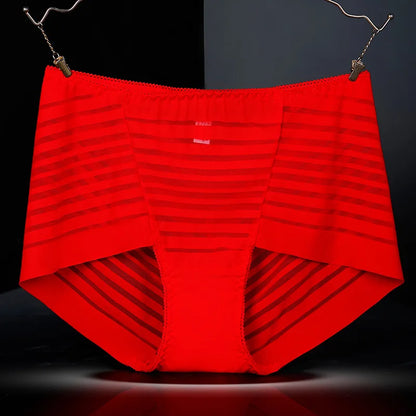 Plus Size High-Rise Lace Panties